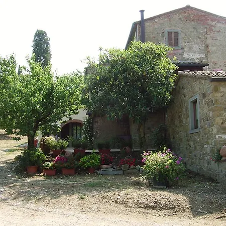 Il Belvedere Di Roccavo مزرعة للإقامة كاستيجليون فيورنتينو