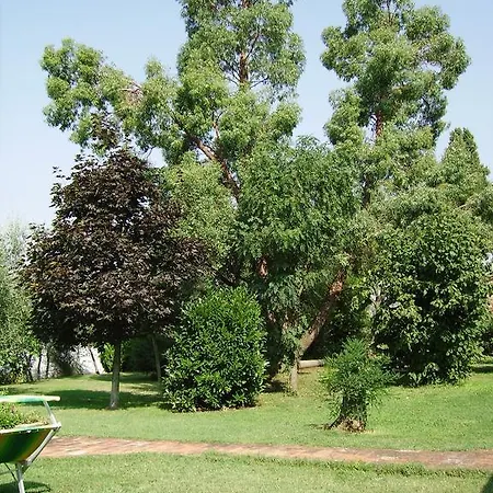 Il Belvedere Di Roccavo * Castiglion Fiorentino